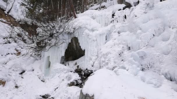 Tombe sous la glace .