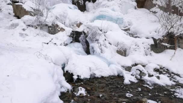 Tombe sous la glace .