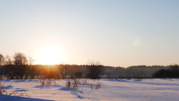 Campo de invierno al atardecer — Vídeo de stock