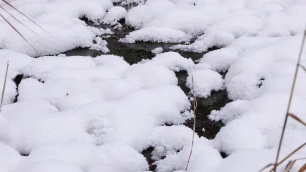 Tombe sous la glace . — Video