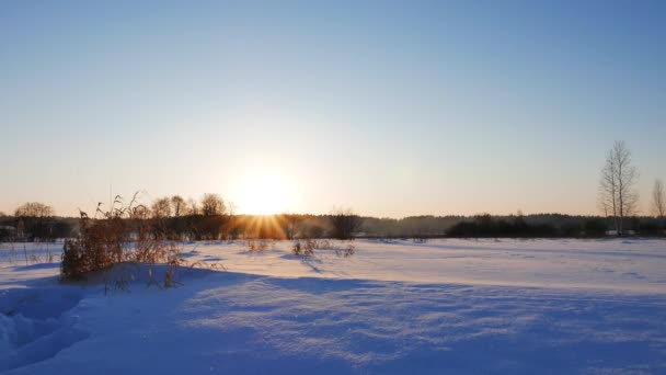 Paesaggio invernale al tramonto — Video Stock