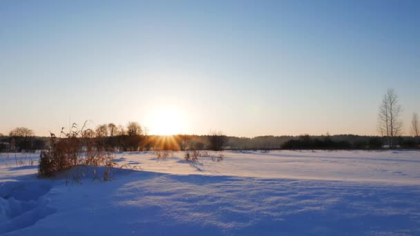 Paisaje invernal al atardecer — Vídeos de Stock