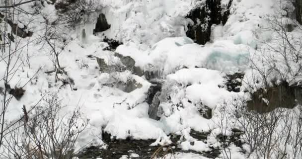 Falls under the ice. — Stock Video