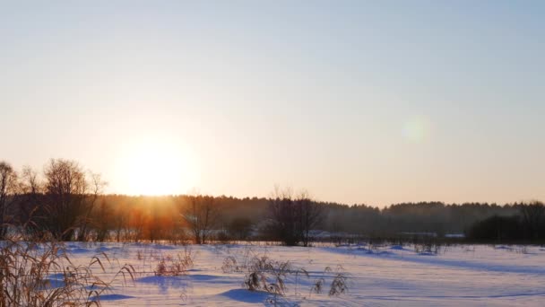 Besneeuwd veld bij zonsondergang — Stockvideo