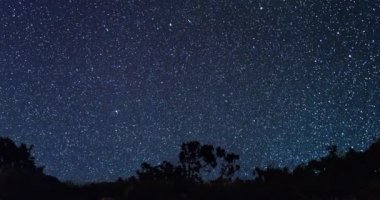 Yıldızlı gökyüzü arka planda orman