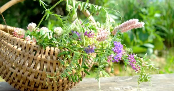 Flores silvestres en una canasta de mimbre — Vídeos de Stock