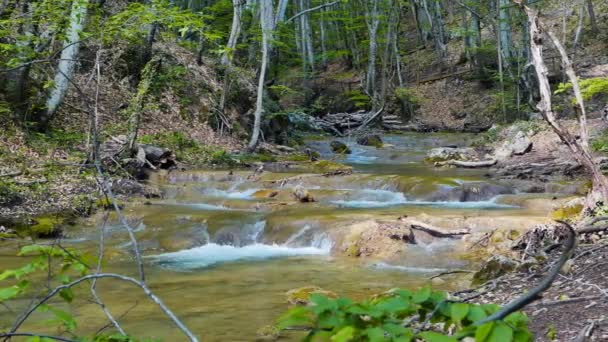 Cascadas en el río de montaña — Vídeos de Stock