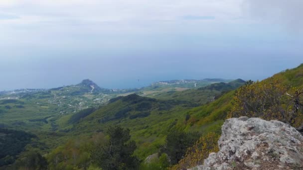 Gato de montaña, Bahía Azul — Vídeos de Stock