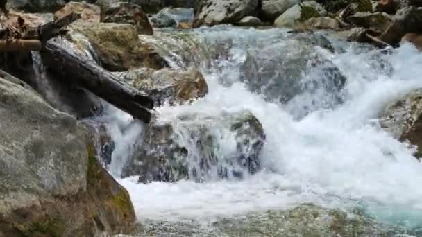 Fiume di montagna nel Grand Canyon del Crimea — Video Stock