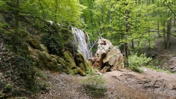 Серебряные ручьи водопада в Крыму — стоковое видео