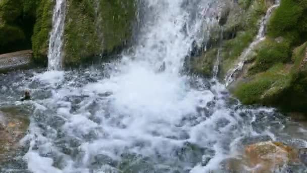 Şelale gümüş Streams Kırım ' — Stok video