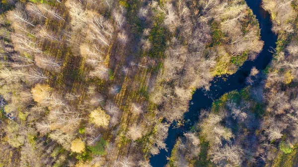 Russia Urals Ekaterinburg Dark River Background Autumn Wetland Forest Sunset — Stock Photo, Image