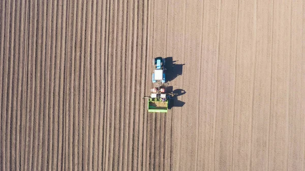 ロシア ウラル 畑にジャガイモをコンバインとトラクターで植える 空中ビュー ヘッドオーバーショット — ストック写真