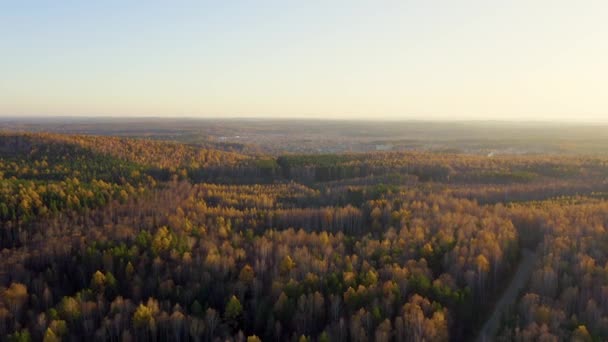 Voando sobre a floresta mista outono durante o pôr do sol. Os arredores de Ecaterimburgo. Ural, Rússia. 4K — Vídeo de Stock