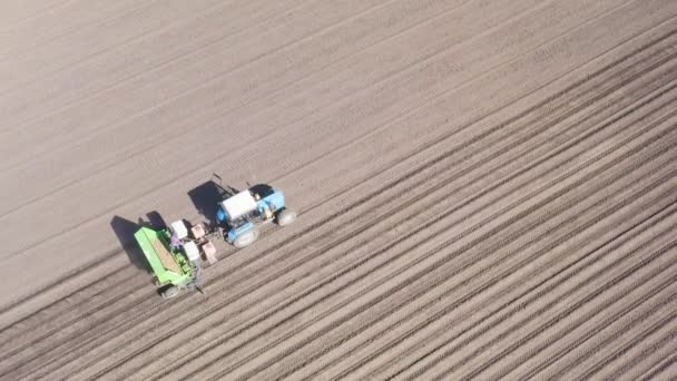 Rosja, Urale. Sadzenie ziemniaków na polu z kombajnem i ciągnikiem. Wiosną. 4K — Wideo stockowe