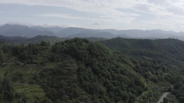 Carrodano Superiore, Italia. Provincia de La Spezia. Montaña paisaje arbolado. Vista desde arriba. 4K — Vídeos de Stock