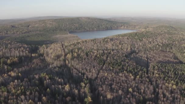 Єкатеринбург, Росія. Озеро Пещаной (Сенді) має прямокутну форму, оточене лісом восени. Час заходу сонця. 4K — стокове відео