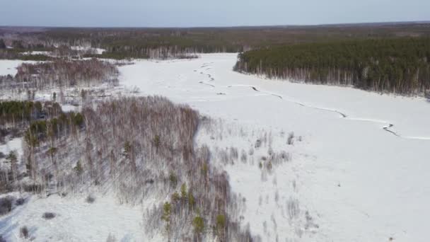 Vliegen in de winter boven een moeras bedekt met bos. Kleine rivier in de sneeuw. 4K — Stockvideo