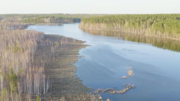 ドリーズームだ。ロシア、ウラル。森に囲まれた湿地池。日没時間 — ストック動画