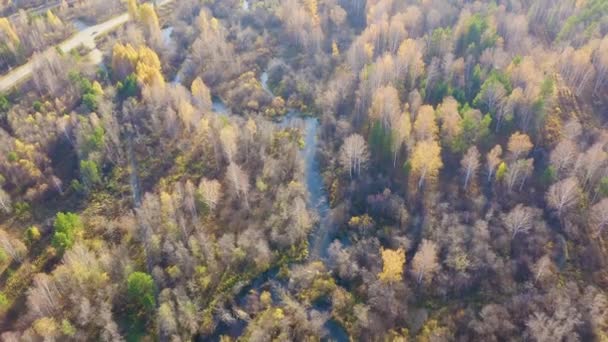 Ρωσία, Ουράλια, Αικατερίνμπουργκ. Σκοτεινό ποτάμι σε φόντο φθινοπωρινού δάσους. Ηλεκτροκίνητος σιδηρόδρομος. Ηλιοβασίλεμα. 4K — Αρχείο Βίντεο