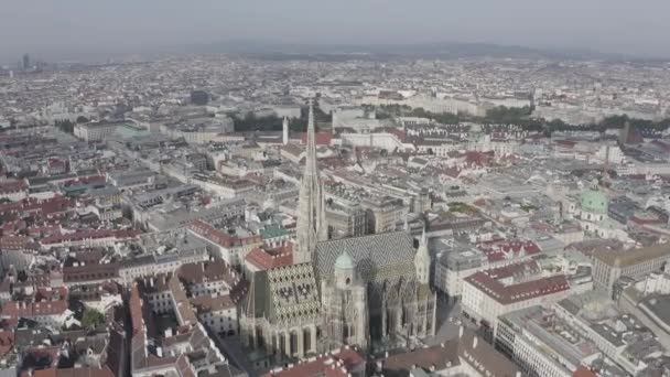 Viyana, Avusturya. St. Stephen Katedrali (Almanya: Stephansdom). Katolik Katedrali - Avusturya 'nın ulusal sembolü. 4K — Stok video