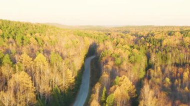 Dolly zoom. Ormandaki asfalt yolda. Günbatımında karışık ormanın üzerinde uçmak. Yekaterinburg çevresi. Ural, Rusya