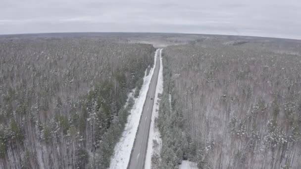 Niebieski samochód jedzie zimową asfaltową drogą w lesie. Śnieg na drzewach i poboczach dróg. 4K — Wideo stockowe