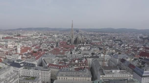 Viena, Áustria. Catedral de Santo Estêvão (Alemanha: Stephansdom). Catedral Católica - o símbolo nacional da Áustria. 4K — Vídeo de Stock