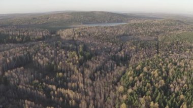 Peschanoye Gölü (Sandy). Günbatımında karışık ormanın üzerinde uçmak. Yekaterinburg çevresi. Ural, Rusya. 4K