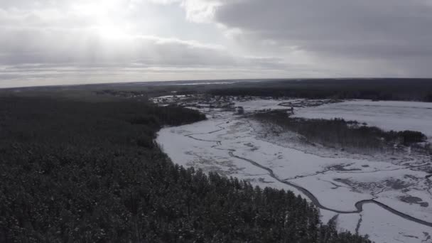 Zonas húmidas com um pequeno rio coberto de neve. A aldeia ao fundo. Nuvens e sol. Neve nas árvores. 4K — Vídeo de Stock