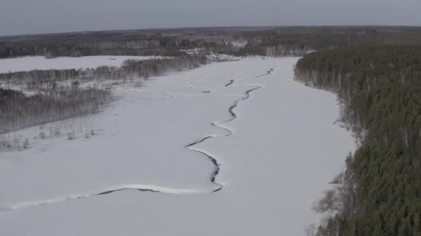 Vliegen in de winter boven een moeras bedekt met bos. Kleine rivier in de sneeuw. 4K — Stockvideo