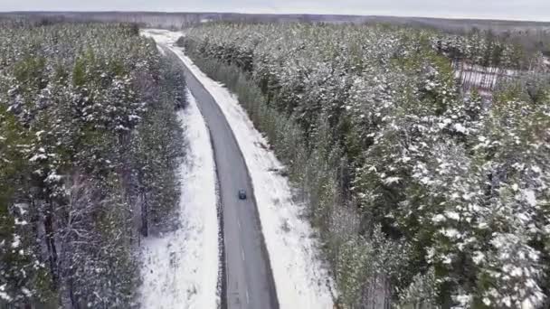 Niebieski samochód jedzie zimową asfaltową drogą w lesie. Śnieg na drzewach i poboczach dróg. 4K — Wideo stockowe