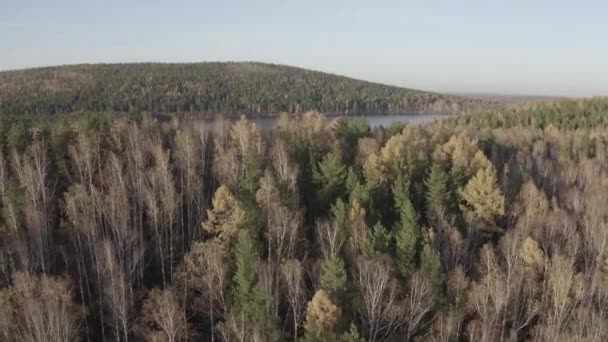 Ecaterimburgo, Rússia. Lago Peschanoye (Sandy) é retangular em forma cercada por floresta no outono. Hora do pôr-do-sol. 4K — Vídeo de Stock