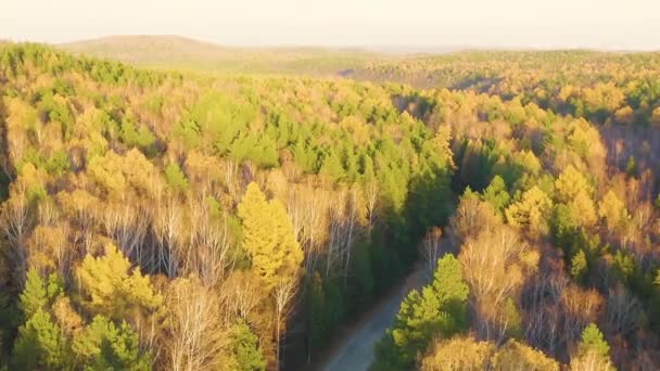 돌리 줌. 숲 속의 아스팔트 길. 해 가 지는 동안 가을에 혼합 된 숲 위를 날았습니다. 예카테린부르크의 환경. 우르 알, 러시아 — 비디오
