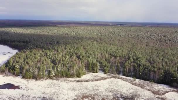 Flug über den Kiefernwald. Schnee auf den Bäumen. Wolken und Sonne. 4K — Stockvideo