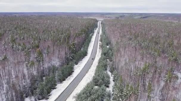 Niebieski samochód jedzie zimową asfaltową drogą w lesie. Śnieg na drzewach i poboczach dróg. 4K — Wideo stockowe