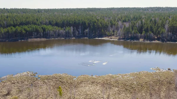 Rusia Los Urales Las Aves Aterrizan Agua Cisne Whooper Agua — Foto de Stock