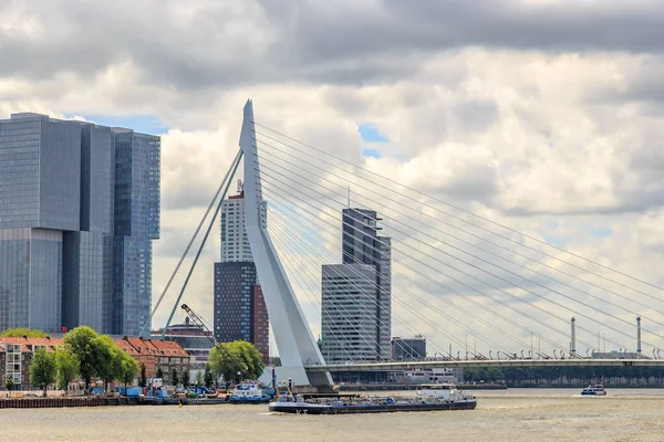 Rotterdam Paesi Bassi Luglio 2019 Grattacieli Rotterdam Rotterdam Ponte Erasmus — Foto Stock