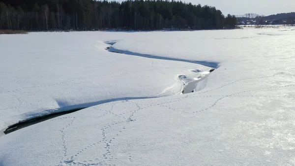 在冬季飞越一片森林覆盖的沼泽地 小河在雪地里 空中风景 — 图库照片