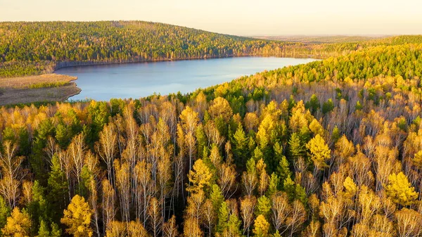 Lago Peschanoye Sandy Volando Sobre Bosque Mixto Otoño Durante Atardecer — Foto de Stock