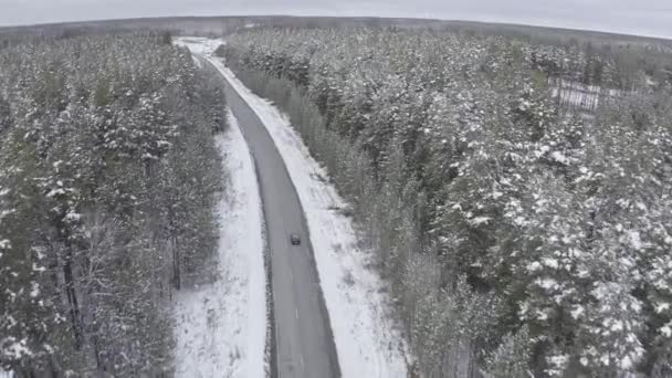 Egy kék autó lovagol végig egy téli aszfalt úton az erdőben. Hó a fákon és az út szélén. 4K — Stock videók