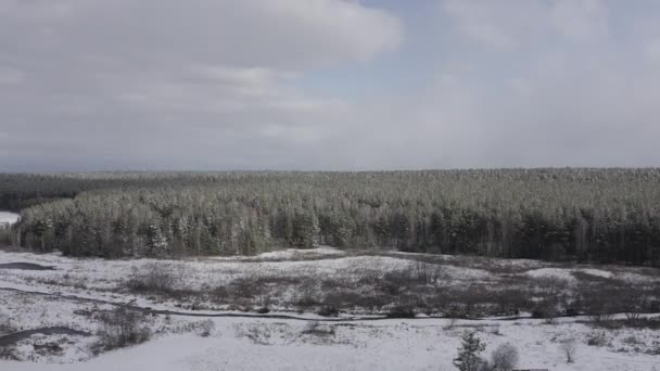 Kanten af en fyrreskov. Sne på marker og træer. Skyer og sol. 4K – Stock-video
