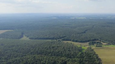 Yasnaya Polyana, Rusya. Lev Nikolaevich Tolstoy Yasnaya Polyana 'da doğdu ve hayatının çoğunu orada geçirdi. 4K