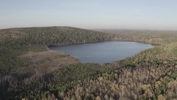 Ecaterimburgo, Rússia. Lago Peschanoye (Sandy) é retangular em forma cercada por floresta no outono. Hora do pôr-do-sol. 4K — Vídeo de Stock