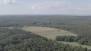 Yasnaya Polyana, Rusya. Lev Nikolaevich Tolstoy Yasnaya Polyana 'da doğdu ve hayatının çoğunu orada geçirdi. 4K