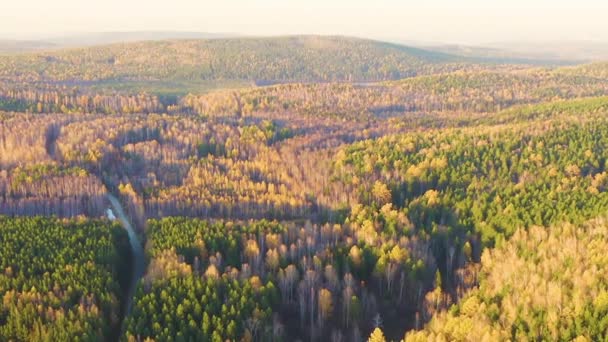 Dolly zoom. Pueblo. Volando sobre el bosque mixto de otoño durante el atardecer. Los alrededores de Ekaterimburgo. Ural, Rusia — Vídeo de stock