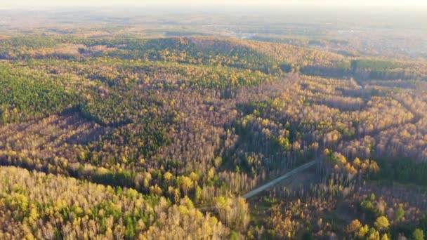 Ekaterimburgo, Rusia. Volando sobre el bosque de otoño al atardecer. Colinas y camino. 4K — Vídeos de Stock