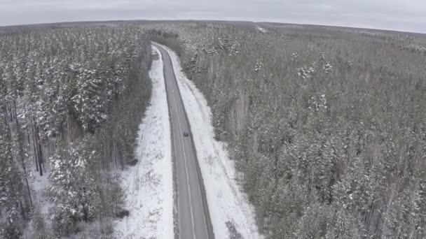 Блакитна машина їде по зимовій асфальтовій дорозі в лісі. Сніг на деревах і узбіччях. 4-кілометровий — стокове відео