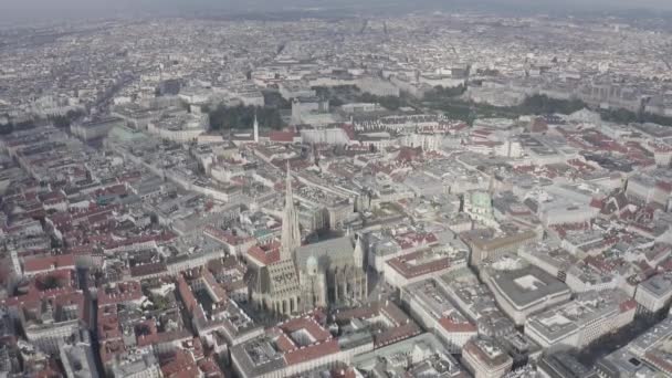 Viyana, Avusturya. St. Stephen Katedrali (Almanya: Stephansdom). Katolik Katedrali - Avusturya 'nın ulusal sembolü. 4K — Stok video