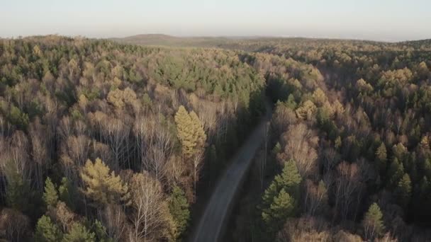 Camino de asfalto en el bosque. Volando sobre el bosque mixto de otoño durante el atardecer. Los alrededores de Ekaterimburgo. Ural, Rusia. 4K — Vídeos de Stock